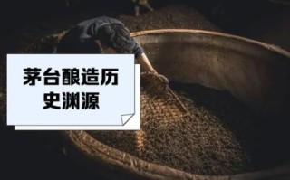 非物质文化遗产 茅台（茅台非物质文化遗产制作工艺流程）