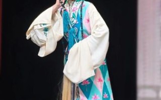 楚剧非物质文化遗产（楚剧非遗传承现状及未来发展前景）