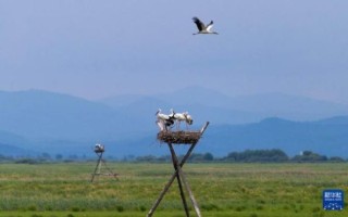 富锦非物质文化遗产（富锦非物质文化遗产有哪些景点可看）