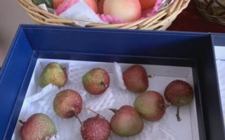 非物质文化遗产蜡果（蜡果技艺入门：蜡果怎么做？）