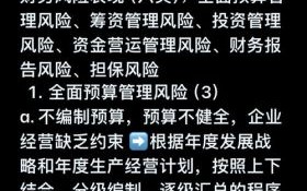 非物质文化遗产财务风险（非物质文化遗产项目常见财务风险及防范）