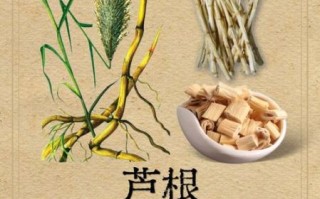 中国非物质文化遗产草药（中国非物质文化遗产草药有哪些）