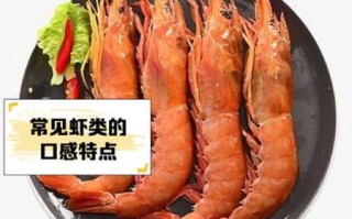 虾子非物质文化遗产（虾子非物质文化遗产指的是什么）