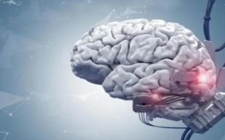 量子计算机技术创造人脑（量子计算机模拟人脑能成真吗）