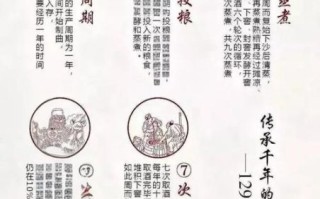 茅台酒 非物质文化遗产（茅台酒非遗酿造技艺工艺流程详解）