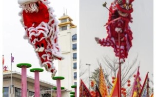 鹤山省级非物质文化遗产（鹤山非遗鹤山狮舞有哪些表演看点）