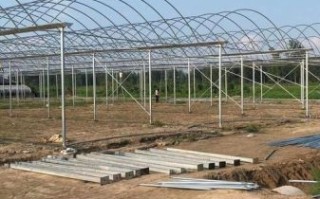 江苏非物质文化遗产大棚（江苏大棚非遗项目有哪些）