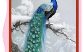 苏绣非物质文化遗产作品（苏绣非遗作品有哪些？新手必看名录）