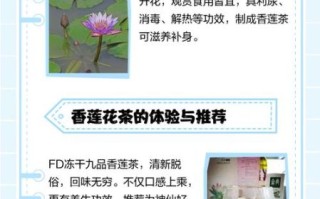 如皋非物质文化遗产莲香（如皋莲香怎么学？老艺人亲授零基础入门教程）