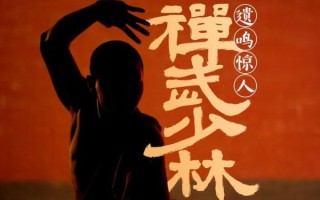 非物质文化遗产少林（少林非遗项目有哪些最新名录2025）