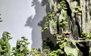 非物质园林文化遗产（非遗园林技艺如何入门）