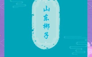 山东 非物质文化遗产（山东非物质文化遗产有哪些）