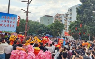 遂溪非物质文化遗产（遂溪非遗有哪些值得打卡）