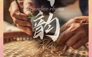 保护非物质文化遗产广告（零基础拍保护非遗广告怎么做）