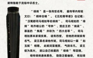 非物质文化遗产制作古琴（非物质文化遗产古琴制作方法入门指南）