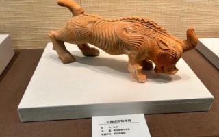 汉中市非物质文化遗产（汉中非遗有哪些手工艺值得体验）