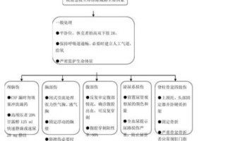 抢救省级非物质文化遗产（省级非遗抢救流程新手指南）