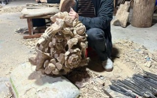 非物质文化遗产雕刻（木雕非遗技艺怎么学零基础入门）