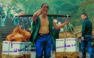 挑山工非物质文化遗产（挑山工是国家级非物质文化遗产吗）