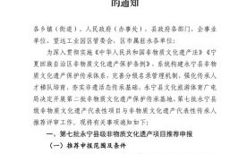 入选非物质文化遗产（非遗申报条件是什么）