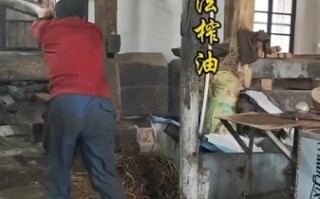压榨工艺非物质文化遗产（传统压榨工艺非遗怎么保护新手也能下手）