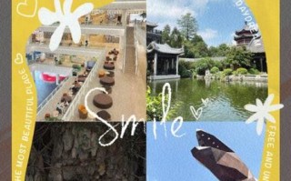 顺德非物质文化遗产排名（顺德非物质文化遗产排名前十必看攻略）