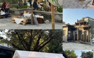 杏坛物质非文化遗产（杏坛非物质文化遗产有哪些）