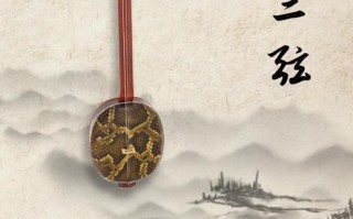 弦乐非物质文化遗产（弦乐非物质文化遗产入门指南）