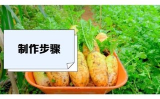 非物质文化遗产萝（非遗萝制作技艺初学者问答）