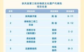 第三批国家级非物质文化遗产（第三批国家级非遗有哪些项目）