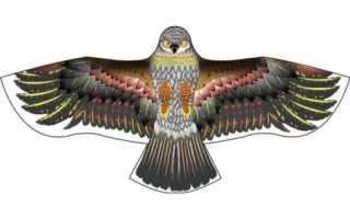 非物质文化遗产老鹰（非遗老鹰风筝制作技艺入门指南）