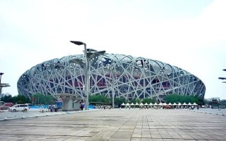 鸟巢非物质文化遗产（鸟巢为什么是非物质文化遗产）