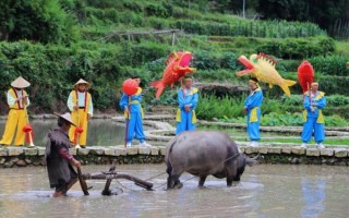 田青村非物质文化遗产（田青村非物质文化遗产有哪些）