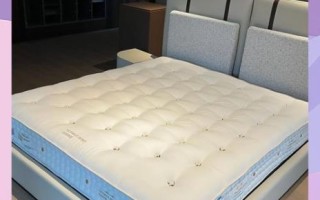 非物质文化遗产皮革床垫（非物质文化遗产皮革床垫制作工艺详解）