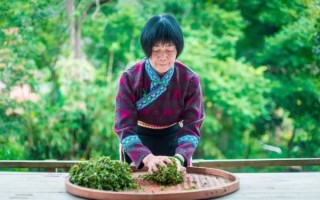 六堡非物质文化遗产（六堡茶非遗技艺怎么入门）