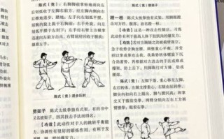 非物质文化遗产之太极拳（太极拳非物质文化遗产练多久能入门）