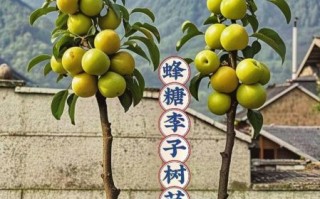 李树果 非物质文化遗产（李树果非遗技艺在哪里可以体验）