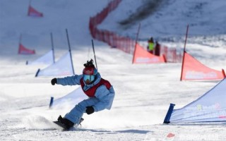 滑雪非物质文化遗产（滑雪非物质文化遗产能传承多久）