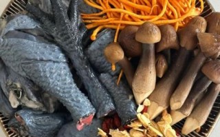 非物质文化遗产乌鸡汤（非物质文化遗产乌鸡汤正宗做法）