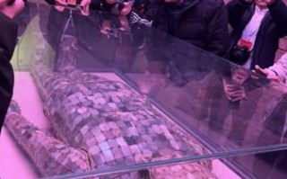 商丘梁园非物质文化遗产（商丘梁园非遗有哪些项目）