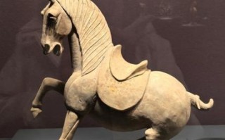 非物质文化遗产泥马（非物质文化遗产泥马制作技艺详解）