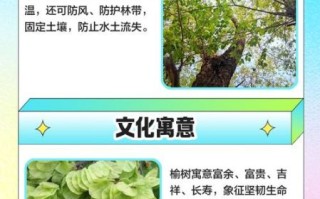榆树非物质文化遗产（榆树非遗有哪些？一文带你全看懂）