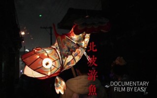 北坡有鱼非物质文化遗产（北坡有鱼非遗技艺是什么）