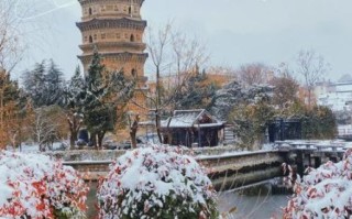 非物质文化遗产蒙城（蒙城非遗有哪些值得新手打卡）