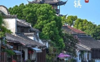 震泽古镇非物质文化遗产（震泽古镇非物质文化遗产有哪些）