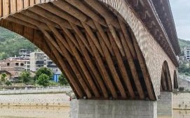 木拱廊桥非物质文化遗产（木拱廊桥非遗技艺如何入门）