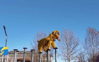 广饶 非物质文化遗产（广饶非遗有哪些新手必看）