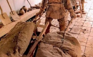 正阳非物质文化遗产（正阳非物质文化遗产初学者该看什么）