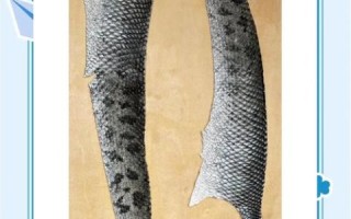 鱼骨工艺非物质文化遗产（鱼骨工艺非物质文化遗产传承人怎么入门）