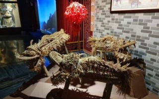 达州非物质文化遗产（达州非物质文化遗产推荐新手看什么）